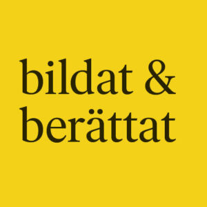 Bildat_rektangel