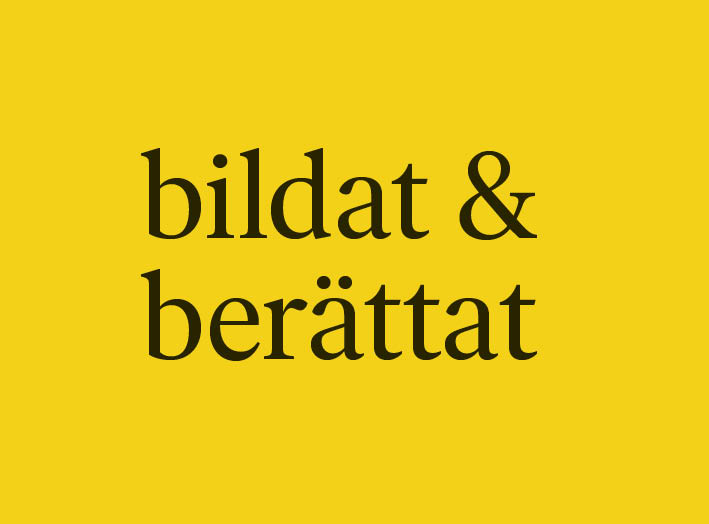 Bildat_rektangel